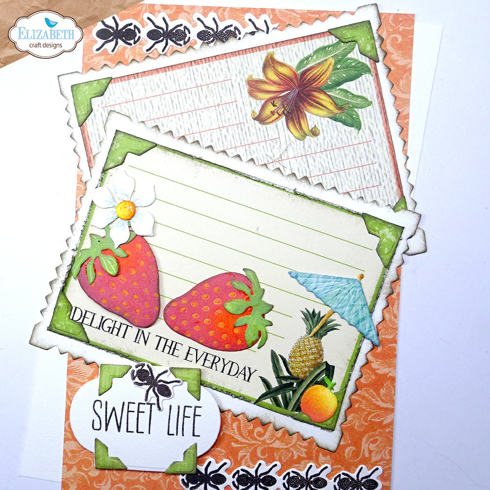 Elizabeth Craft Designs Picture Frames and Mats Dies 2236