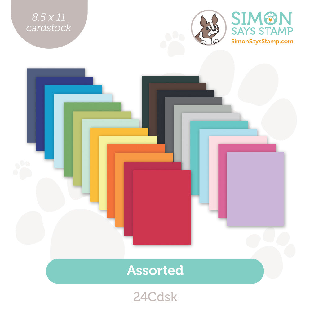 Simon Says Stamp Cardstock 100# SET OF 24 COLORS 24Cdsk