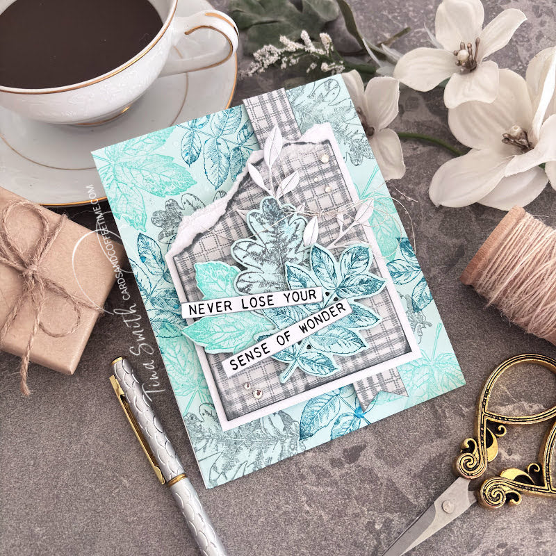 Tim Holtz Cling Rubber Stamps Nature's Wonder cms343