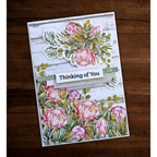 Paper Rose Blooming Proteas 6x6 Paper floral thinking of you