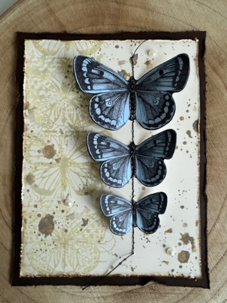 AALL & Create Admirals Ephemera Die-Cuts 32 butterflies