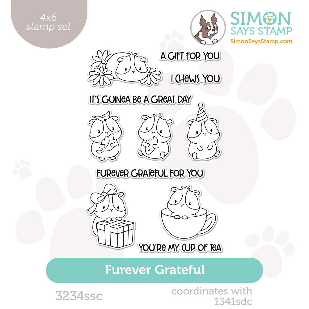 Simon Says Clear Stamps Furever Grateful 3234ssc Beautiful Moments