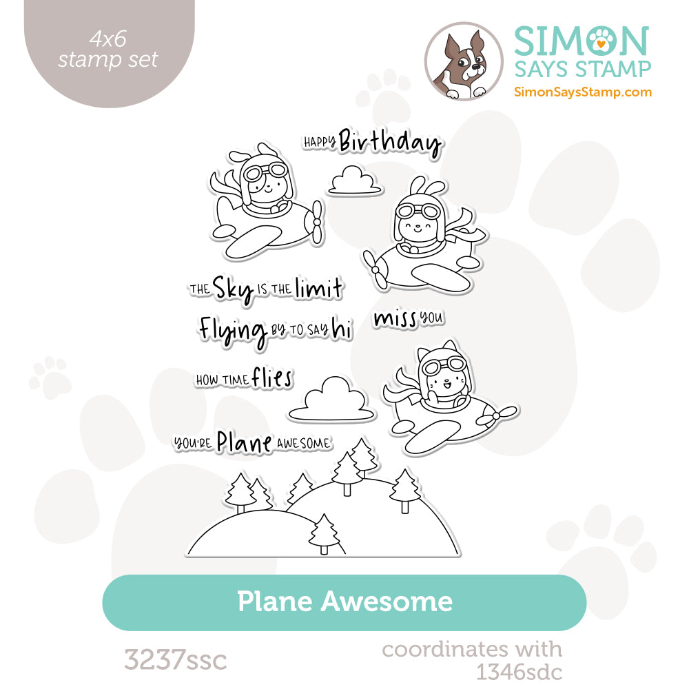 Simon Says Clear Stamps Plane Awesome 3237ssc Shine On