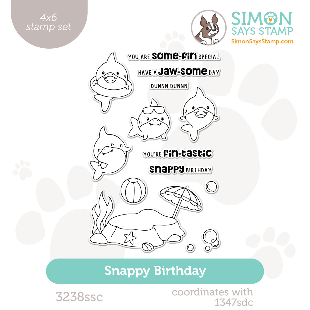 Simon Says Clear Stamps Snappy Birthday 3238ssc Friend Like You