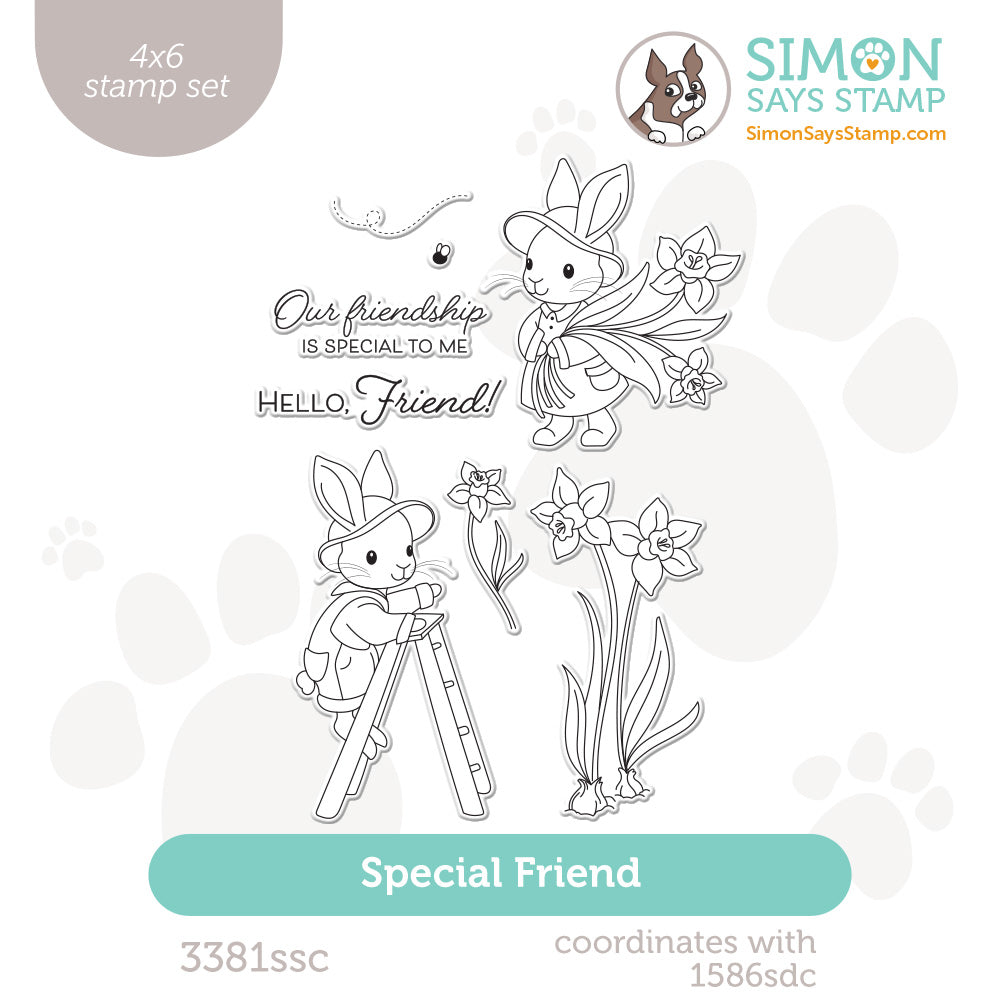 Simon Says Clear Stamps Special Friend 3381ssc Beautiful Moments