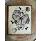 AALL & Create Pale Winged Ephemera Die-Cuts 34 butterfly