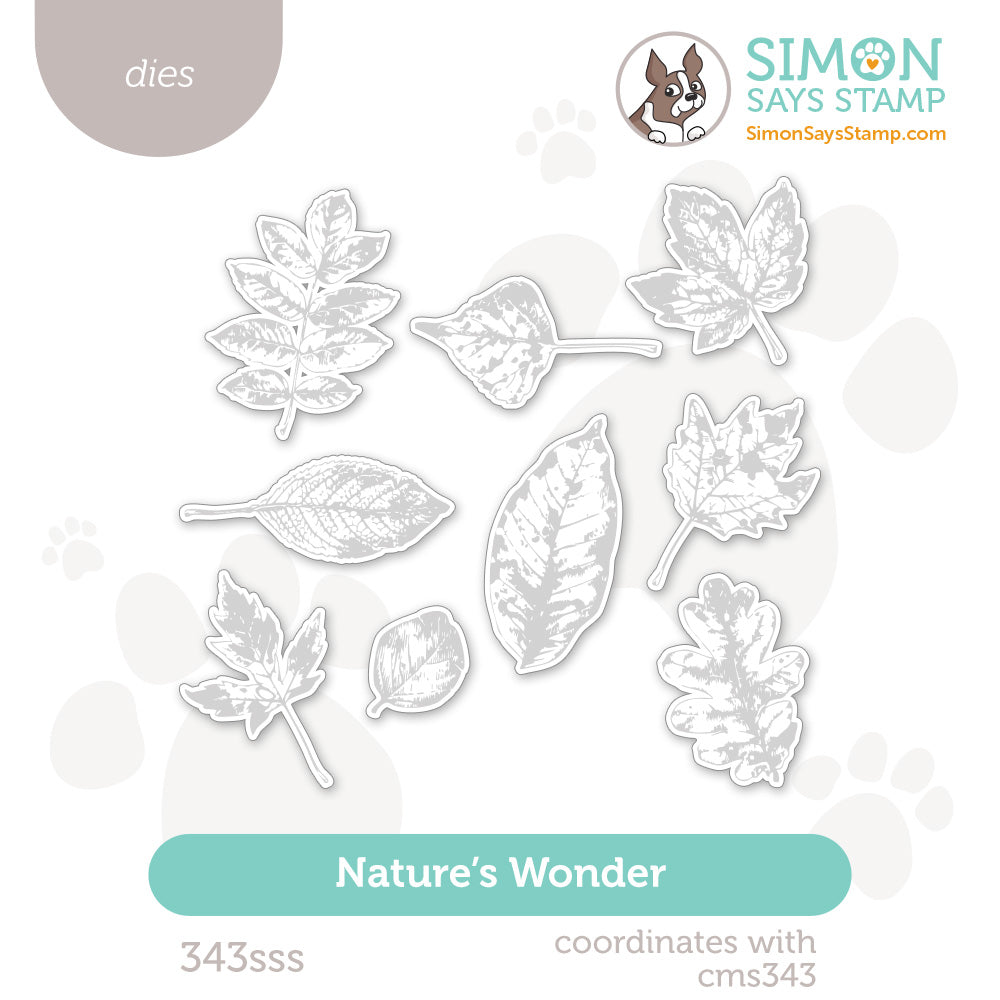 Simon Says Stamp Nature's Wonder Wafer Dies 343sss