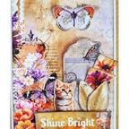  3Quarter Designs Dawns Glow 6x6 Paper Pack 3q-pp6-dawnsglow shine bright