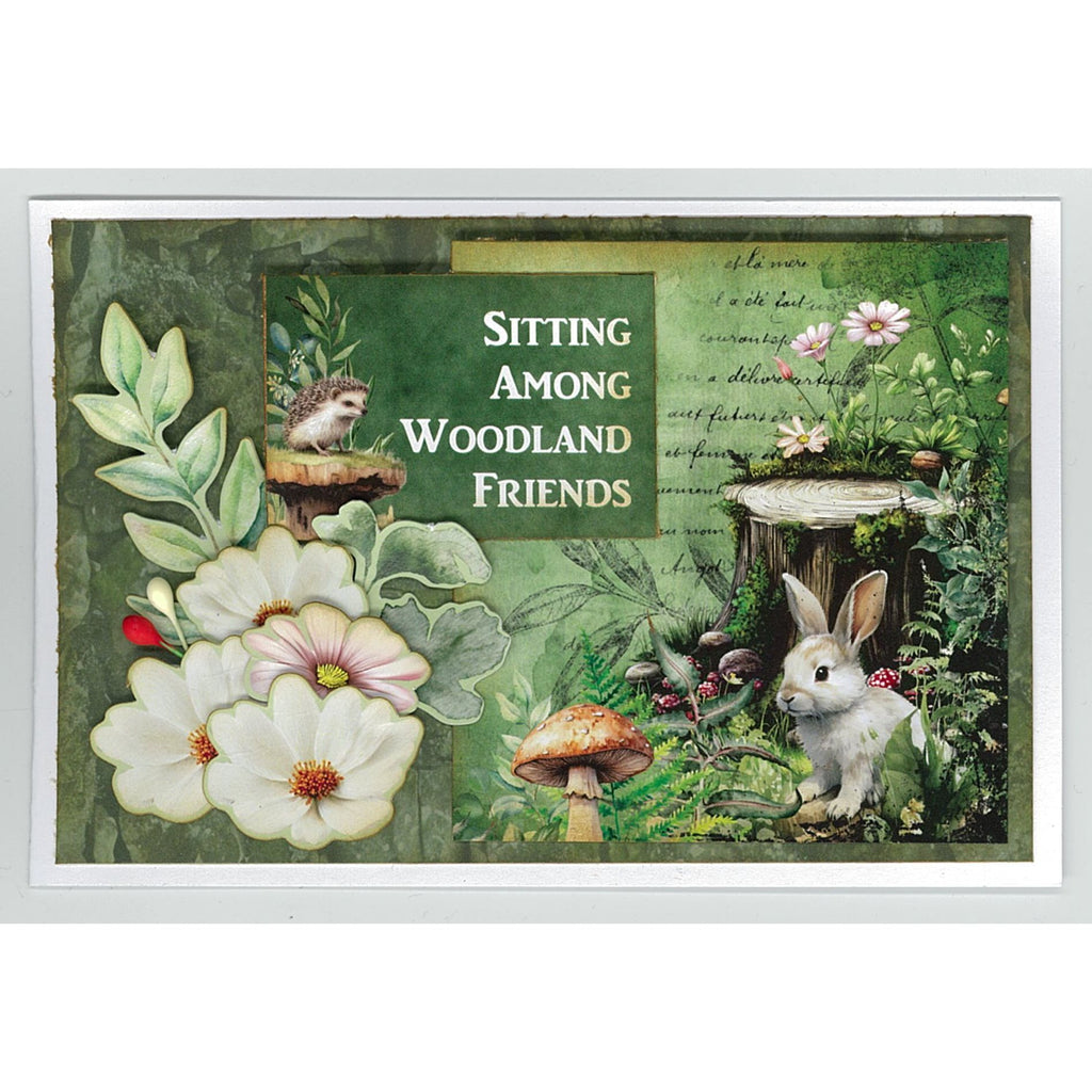 3Quarter Designs Woodland Hollow 6x4 Card Pack 3q-cc-woodlandhollow white bunny tree stump flowers sitting among woodland friends card
