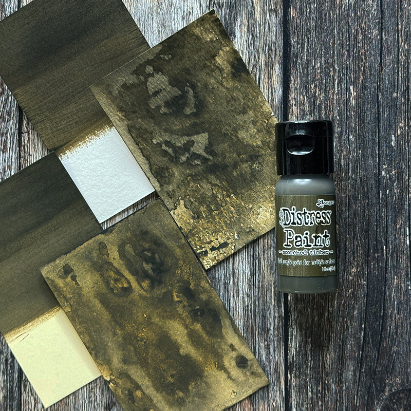 Tim Holtz Flip Top Distress Paint Scorched Timber January 2024 Ranger tdf83481 Color Swatch