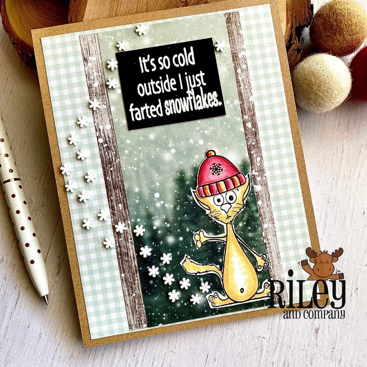 Riley and Company Funny Bones It's So Cold Outside Clear Stamp rwd-1210 cat in a hat