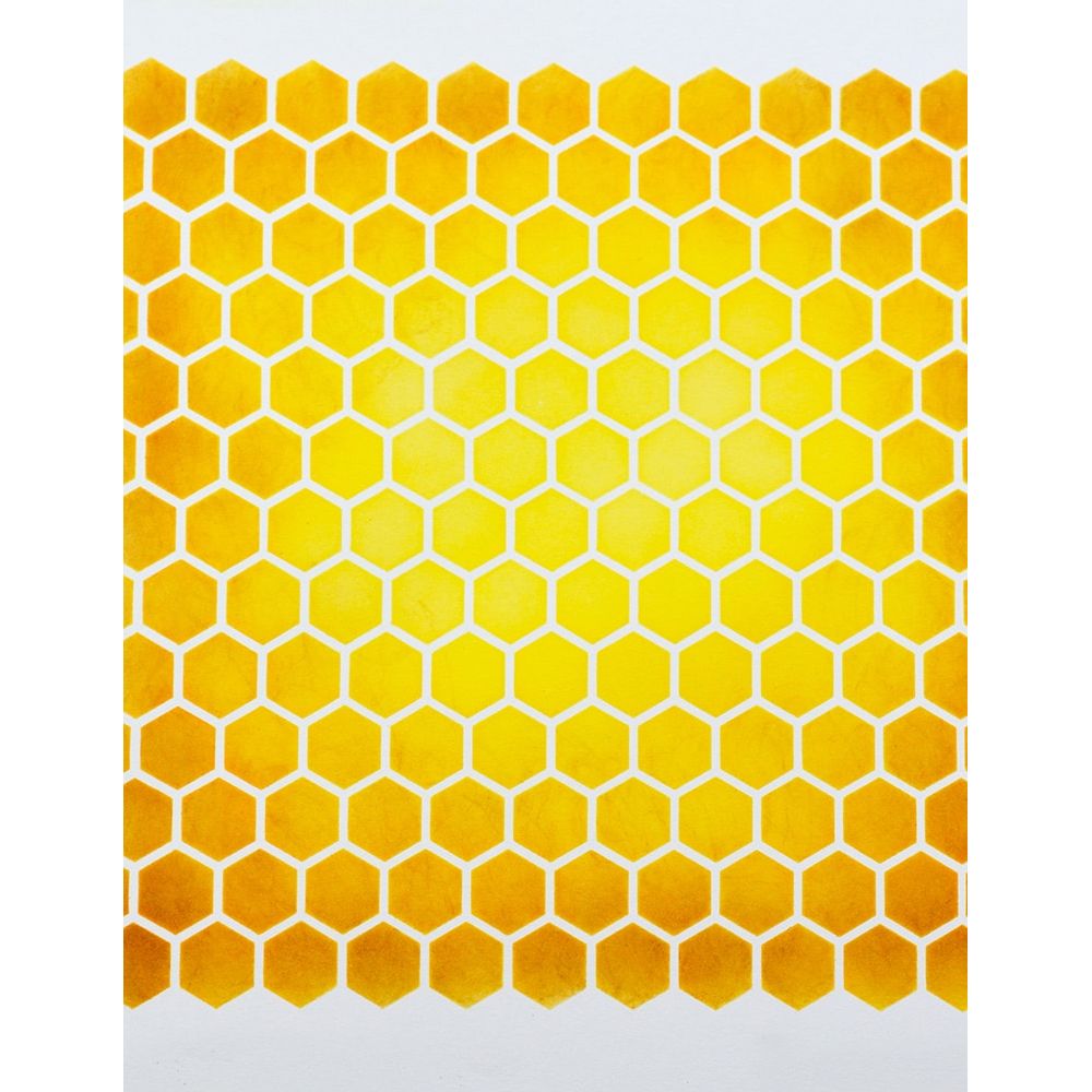 Birch Press Design Honeycomb Stencil 42046 color