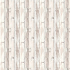 49 and Market Coastal Soul 12 x 12 inch Paper Pack jcs-36794 bonus sheet image