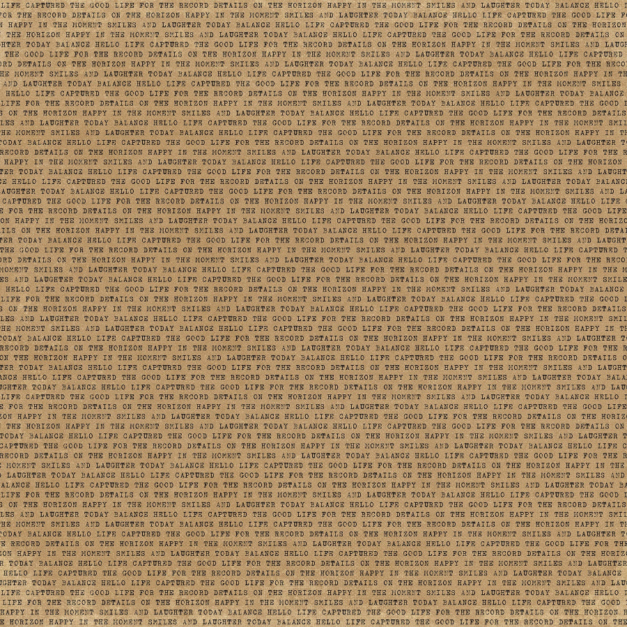 49 and Market Curiosities in Willow Grove 12 x 12 Starters Paper Pack vbwg-33441 image 1