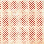 49 and Market Mouse and Co. 12 x 12 inch Paper Pack mmc-37517 bonus sheet