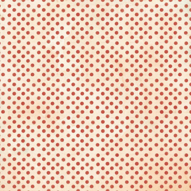 49 and Market Mouse and Co. 12 x 12 inch Paper Pack mmc-37517 bonus sheet