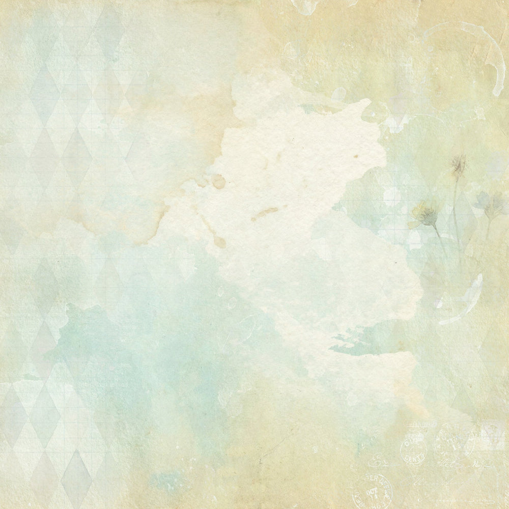 49 and Market The Quiet Observer 12 x12 inch Paper Pack tqo-37029 bonus sheet