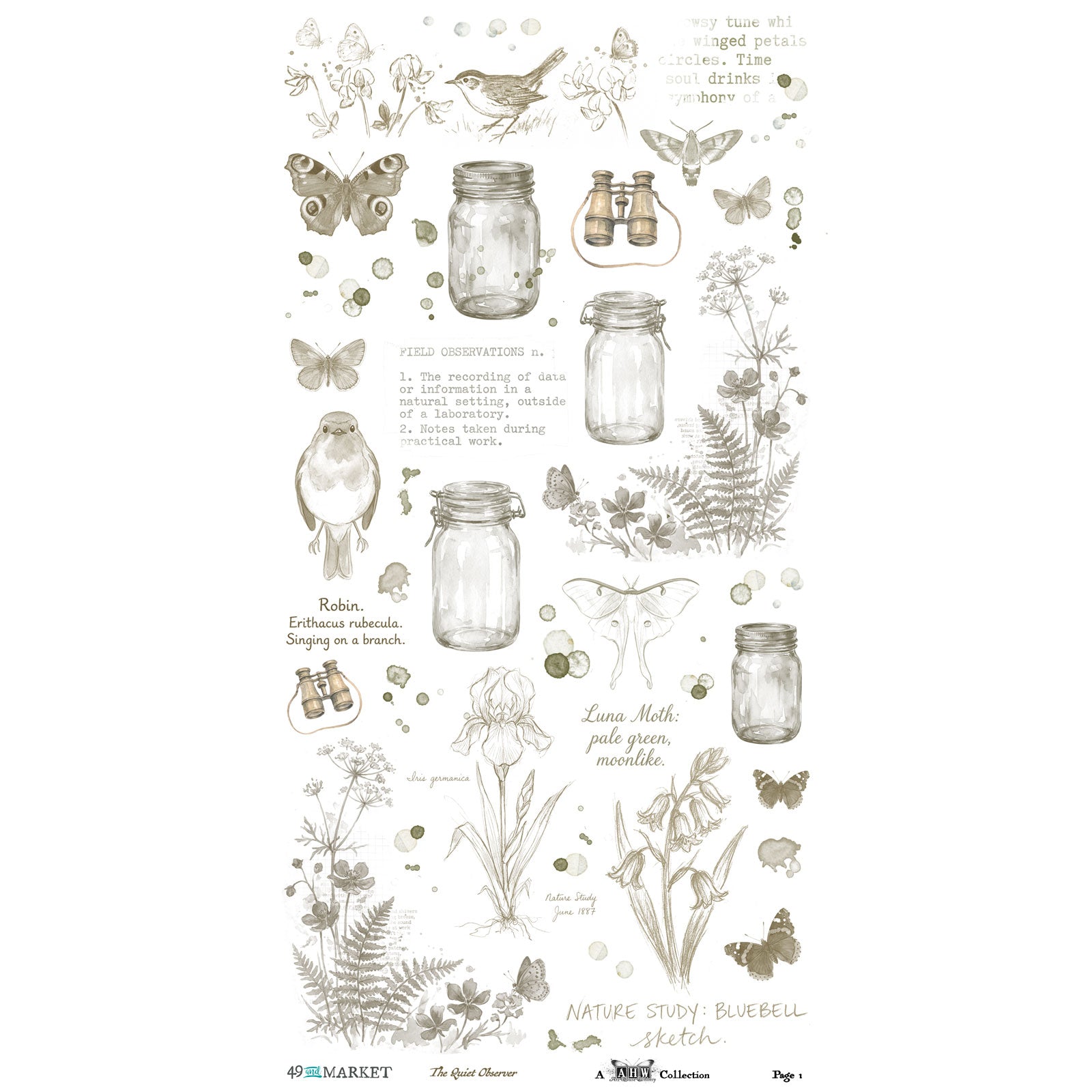 49 and Market The Quiet Observer 6 x 12 inch Essential Rub-on Transfers tqo-37173 product image 1