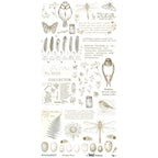 49 and Market The Quiet Observer 6 x 12 inch Essential Rub-on Transfers tqo-37173 product image 2
