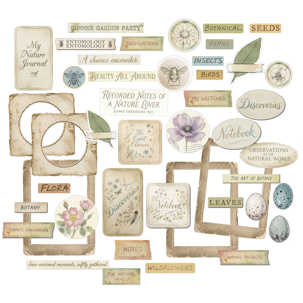 49 and Market The Quiet Observer Chipboard Set tqo-37241 contents inside package