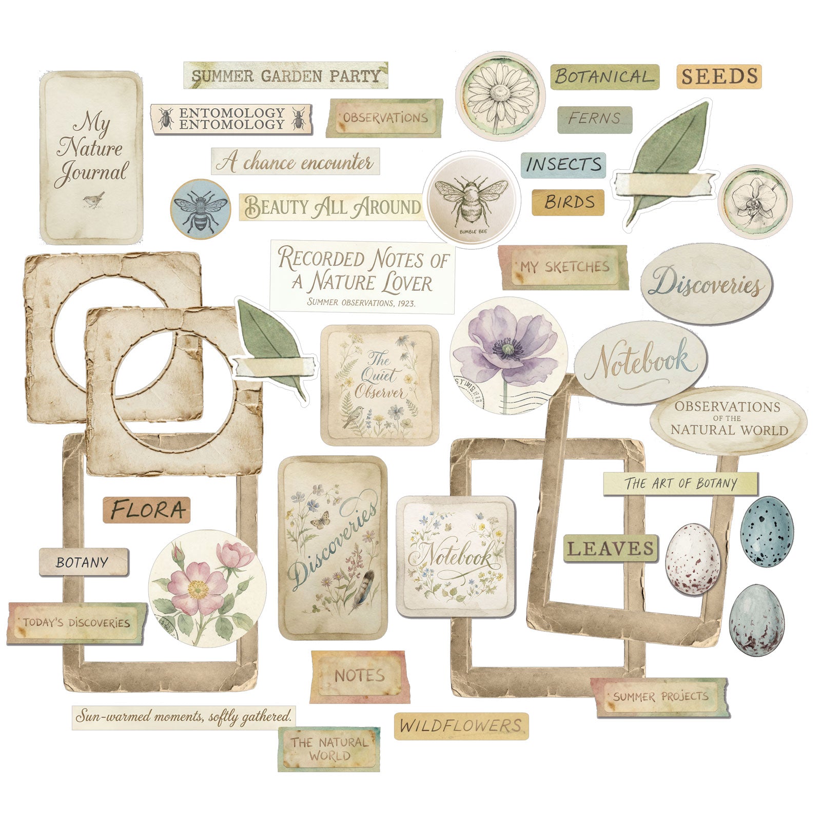 49 and Market The Quiet Observer Chipboard Set tqo-37241 contents inside package