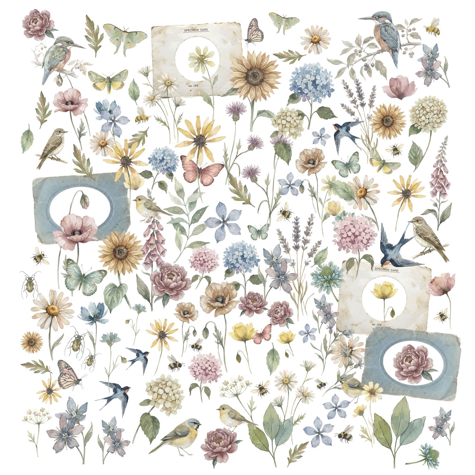 49 and Market The Quiet Observer Laser Cut Wildflowers tqo-37203 contents inside package