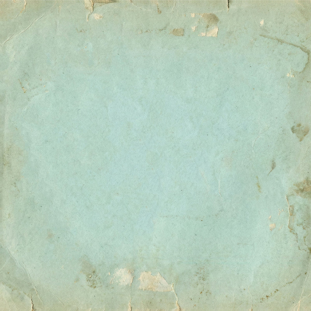 49 and Market The Quiet Observer Solids 12 x12 inch Paper Pack tqo-37036 bonus sheet