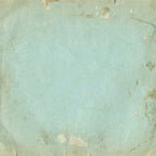 49 and Market The Quiet Observer Solids 12 x12 inch Paper Pack tqo-37036 bonus sheet