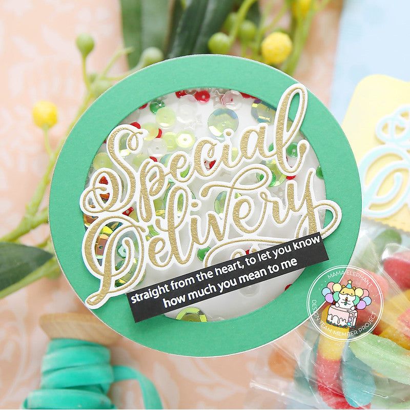 Mama Elephant Clear Stamps Special Delivery Wishes shaker | color-code:ALT01