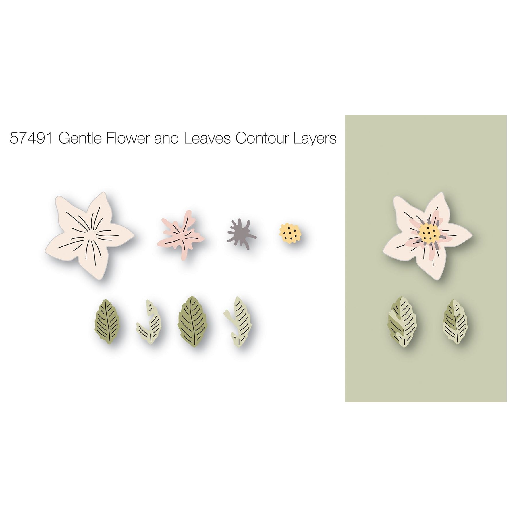 Birch Press Design Gentle Flower and Leaves Contour Layers Dies 57491 line art