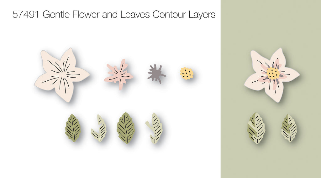 Birch Press Design Gentle Flower and Leaves Contour Layers Dies 57491 line art