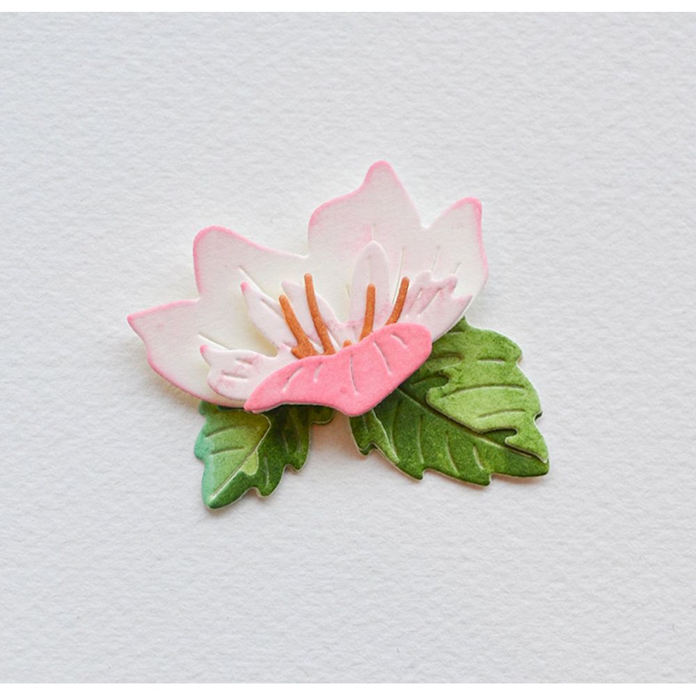 Birch Press Design Peeking Flower and Leaves Contour Layers Dies 57494 bloom