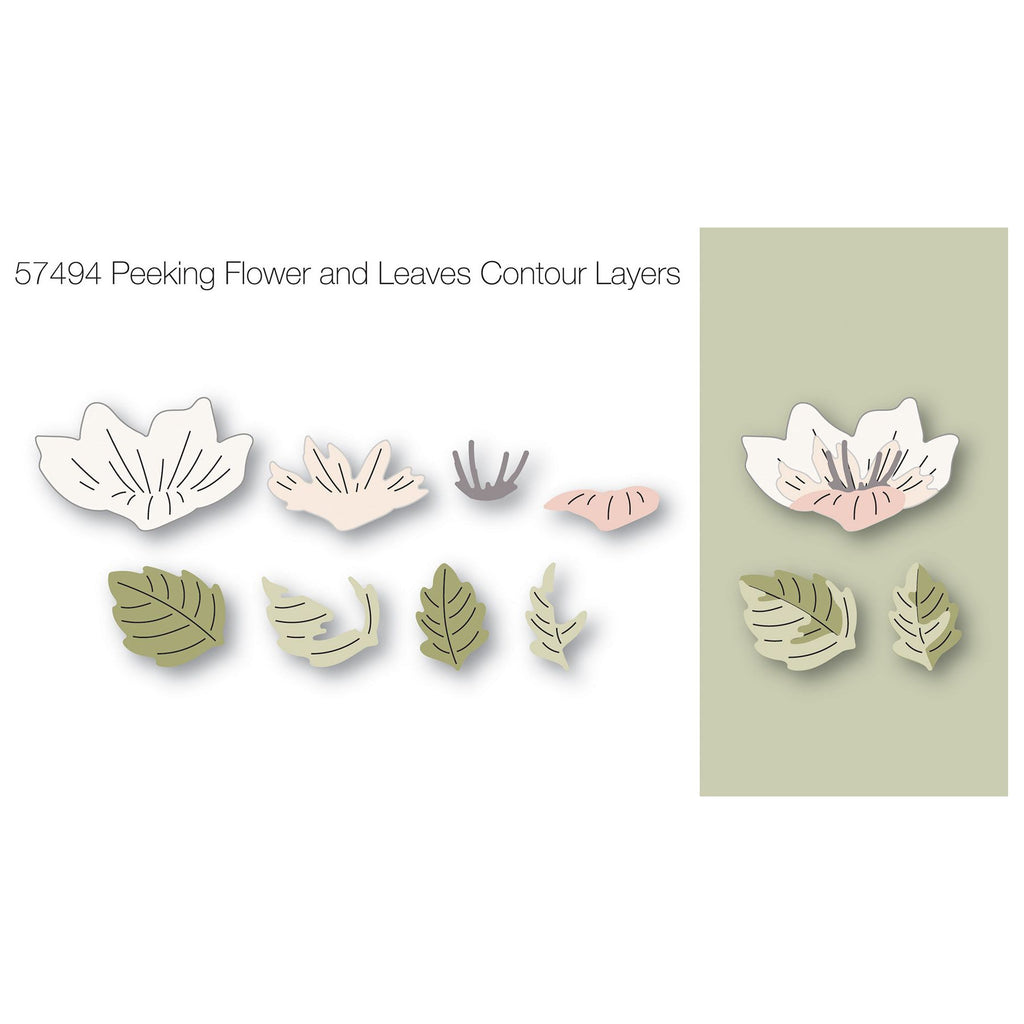 Birch Press Design Peeking Flower and Leaves Contour Layers Dies 57494 line art