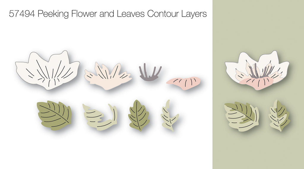 Birch Press Design Peeking Flower and Leaves Contour Layers Dies 57494 line art