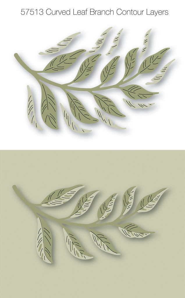 Birch Press Design Curved Leaf Branch Contour Layers Dies 57513 detail
