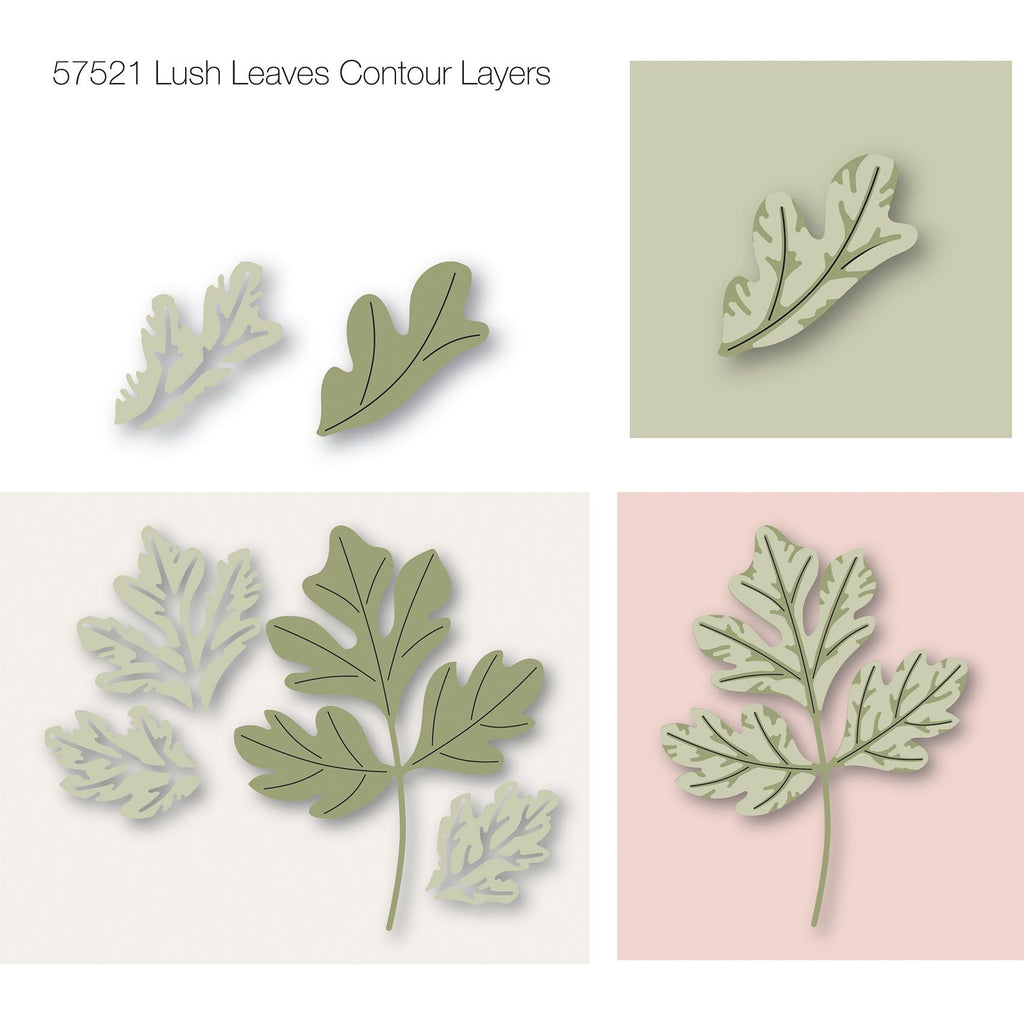 Birch Press Design Lush Leaves Contour Layers Dies 57521 layers