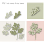 Birch Press Design Lush Leaves Contour Layers Dies 57521 layers
