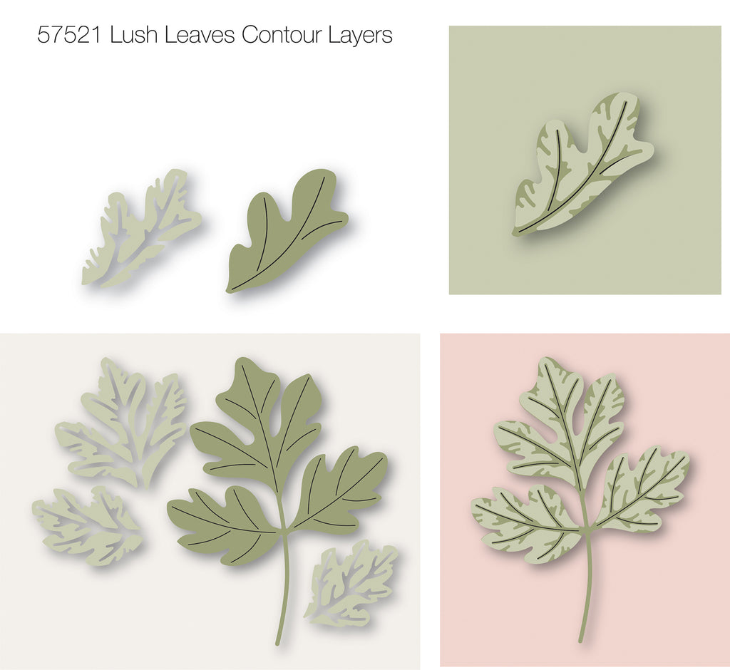 Birch Press Design Lush Leaves Contour Layers Dies 57521 layers