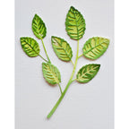 Birch Press Design Rose Leaves Contour Layers Dies 57522 bunch