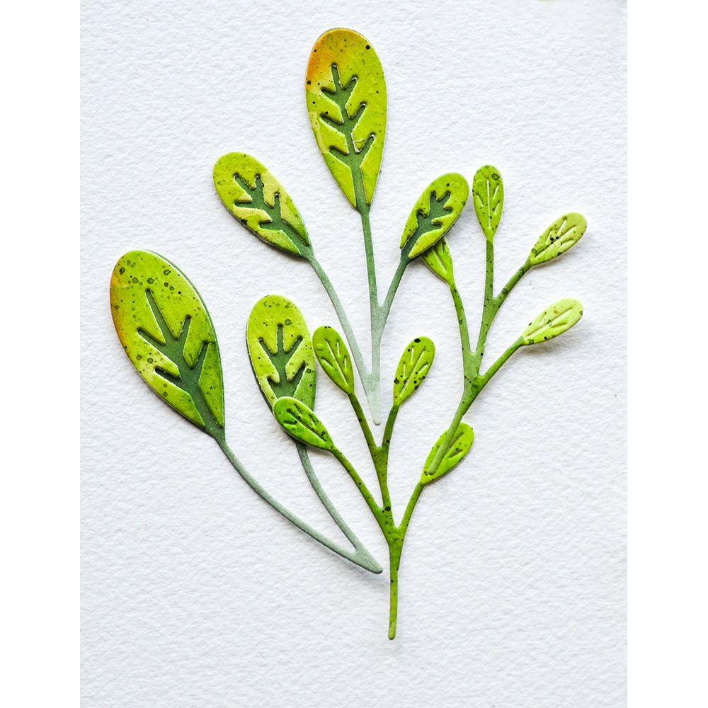 Birch Press Design Oval Leaf Branches Contour Layers Dies 57525 leaves