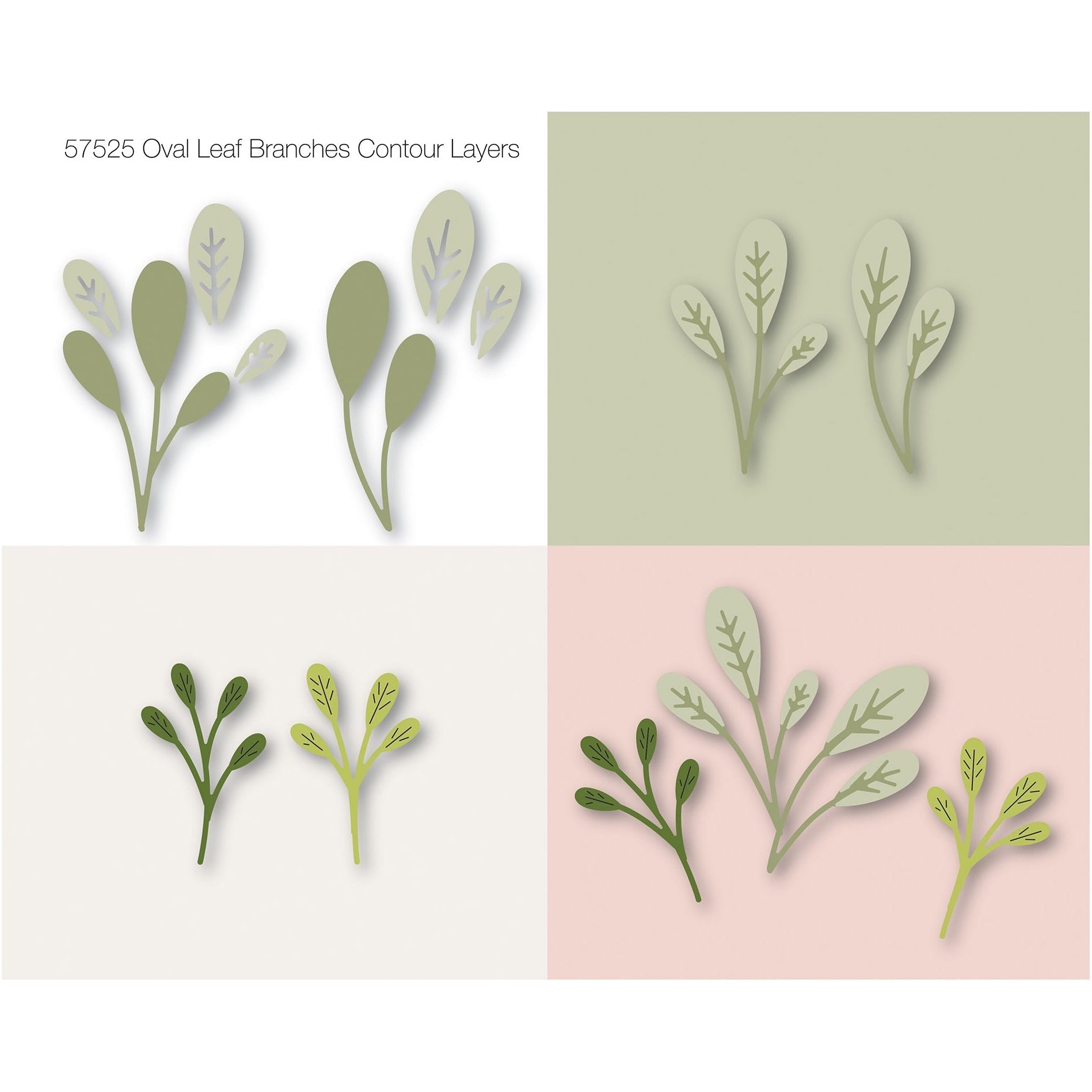 Birch Press Design Oval Leaf Branches Contour Layers Dies 57525 detail