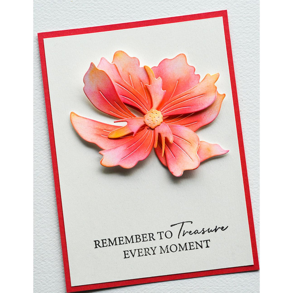 Birch Press Design Large Cosmos Contour Layers Dies 57528 remember card