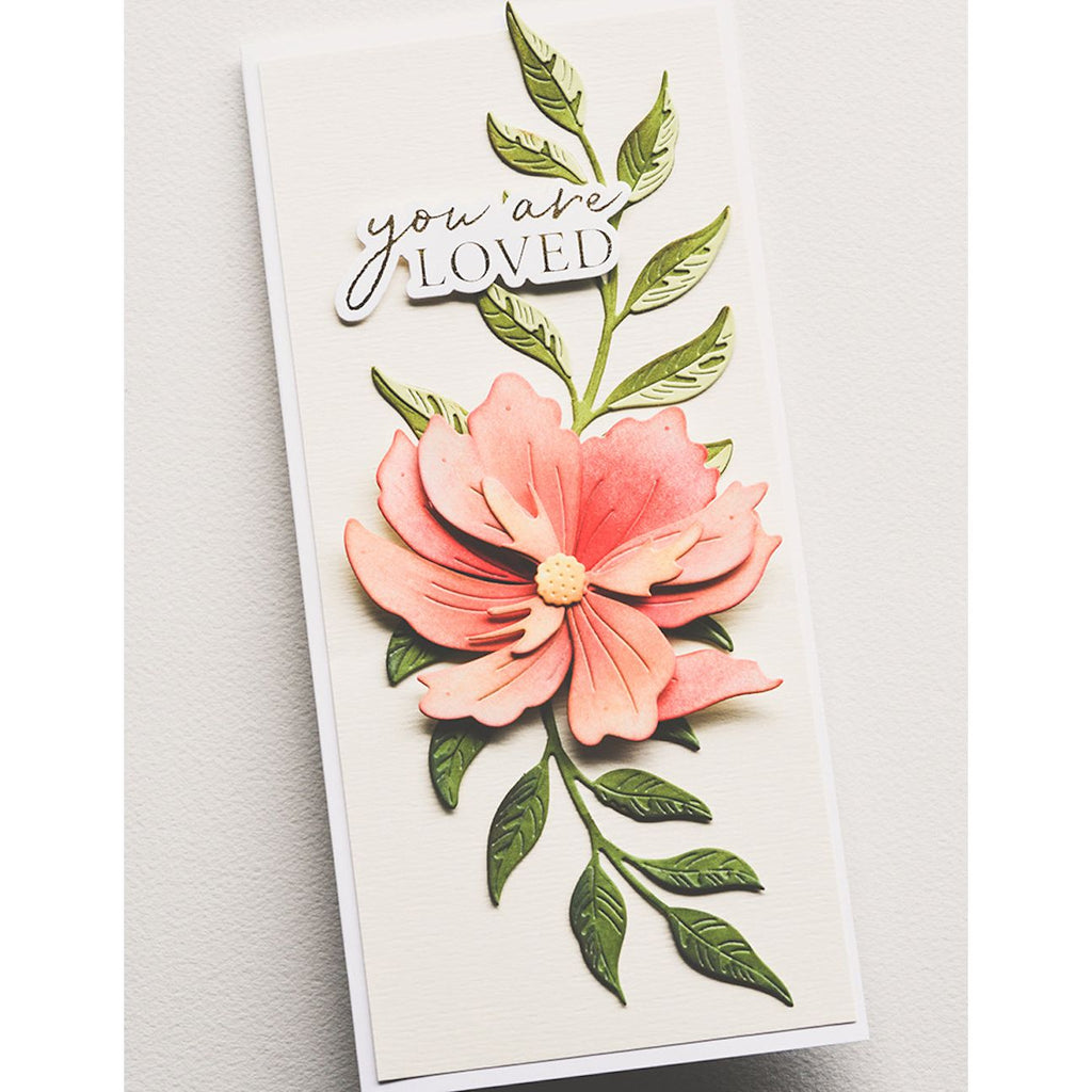 Birch Press Design Large Cosmos Contour Layers Dies 57528 loved card