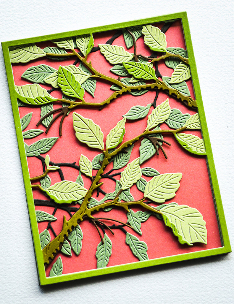 Birch Press Design Forest Canopy Layer Dies 57534 leaves card