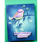 Birch Press Design Birthday Cheer Vintage Sentiment Dies 57572 cheer