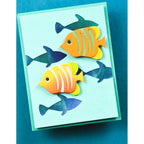 Birch Press Design Block Print Striped Fish Dies 57631