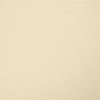 Tonic Cream 8.5 x 11 Craft Perfect Classic Weave Textured Cardstock 9614e swatch