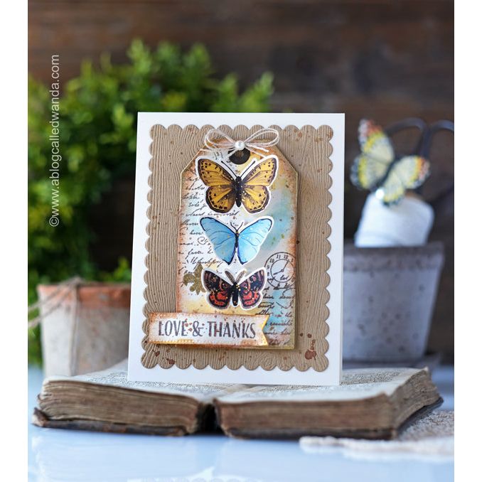 Hero Arts Infinity Dies Scalloped Rectangles DF124 butterfly