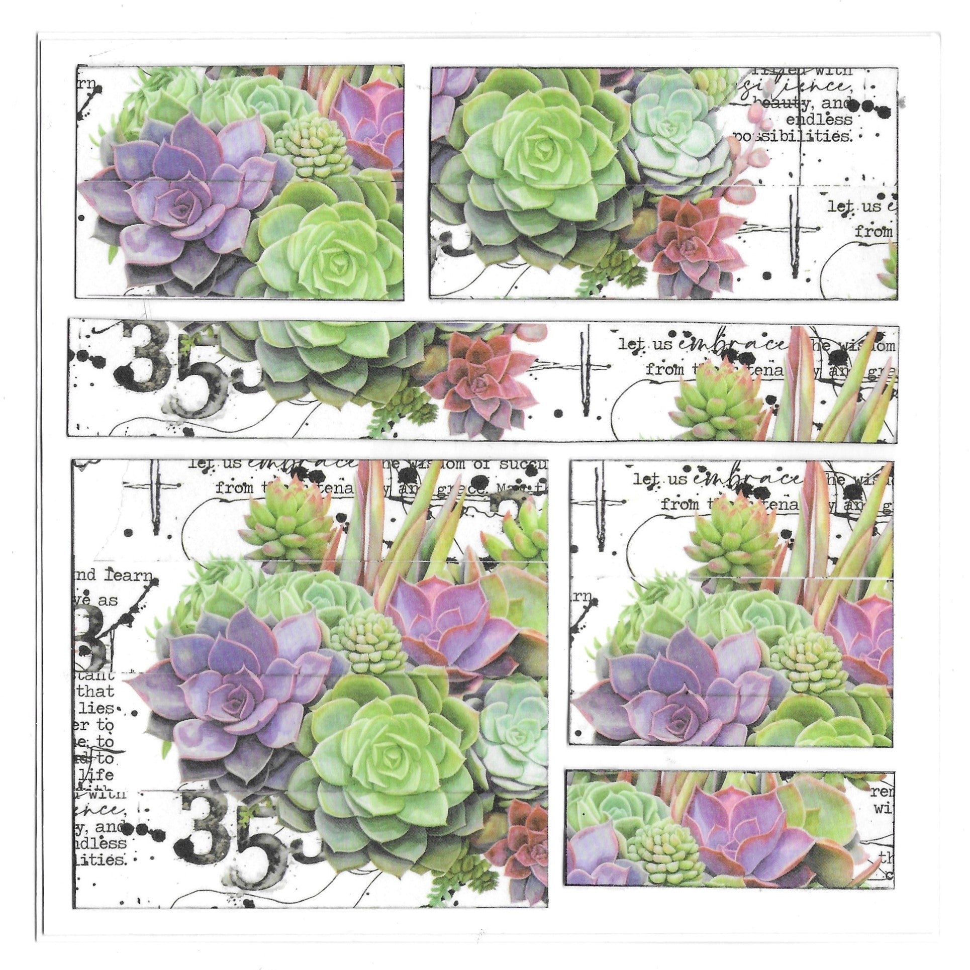 succulent washi tape AALL And Create Washi Tape-Thriving Terrarium