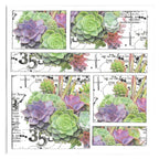 AALL & Create Thriving Terrarium Washi Tape 70 succulent